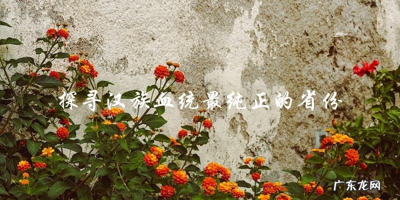 这个省份的汉族血统竟然是全国最纯正的?!