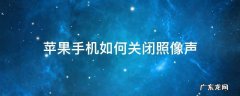 苹果手机如何关闭照像声 苹果手机拍照声音怎么关
