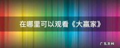在哪里可以看大赢家完整版 在哪里可以观看《大赢家》