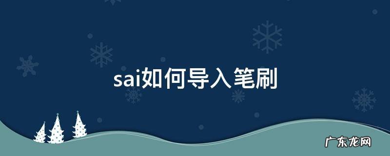 sai2如何导入笔刷素材 sai如何导入笔刷