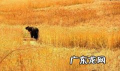 关于劳动的古诗 关于赞美劳动的古诗