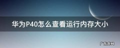 华为P40怎么查看运行内存大小 华为p40如何看运行内存