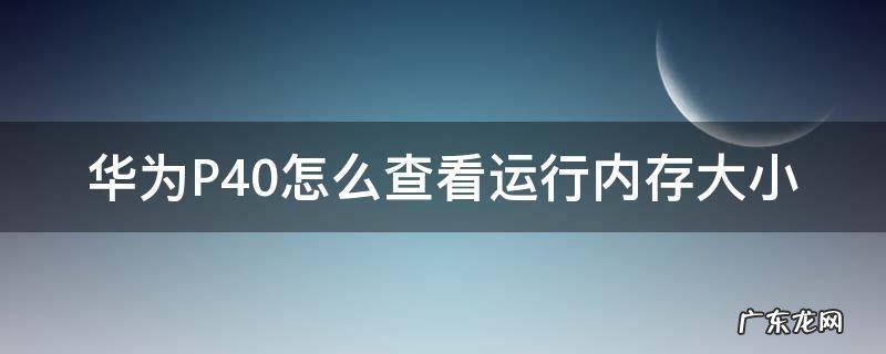 华为P40怎么查看运行内存大小 华为p40如何看运行内存