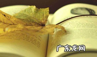 四世同堂读后感