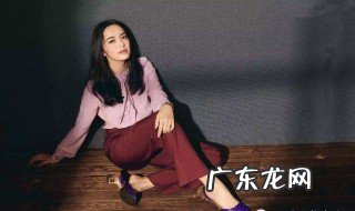 姚晨个人资料简介 姚晨个人资料简介老公