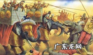 最后一头战象主要内容 沈石溪最后一头战象主要内容