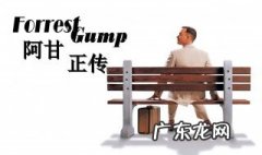 电影阿甘正传简介 阿甘正传简介