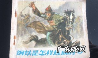 钢铁是怎样炼成的简介 钢铁是怎样炼成的简介概括