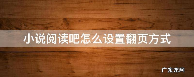 小说阅读吧怎么设置翻页方式 小说阅读页面怎么翻页