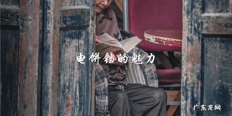 电饼铛轻松做出100种美味面点小吃