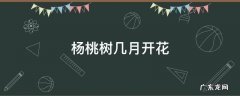 杨桃树几月开花 杨桃树几月结果