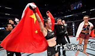 张伟丽个人简介 张伟丽个人介绍