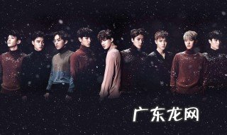 exo成员资料简介12人队长是谁 exo成员资料简介12人