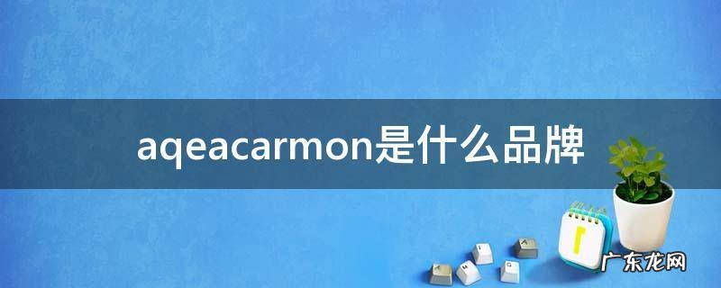 aqeacarmon是什么品牌 aqeacarmon品牌贵不贵