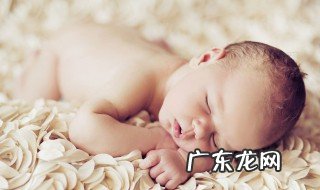 鼠年男孩最合适的名字免费 鼠年男孩最合适的名字