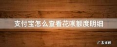 支付宝怎么查看花呗额度明细 怎样查花呗额度明细