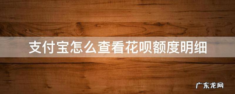 支付宝怎么查看花呗额度明细 怎样查花呗额度明细