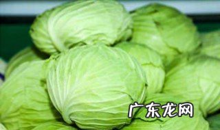 包菜简易好吃做法 包菜简易好吃做法大全