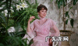 有关礼仪的经典电影 关于礼仪的电影有哪些