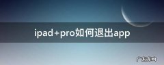ipad pro如何退出app