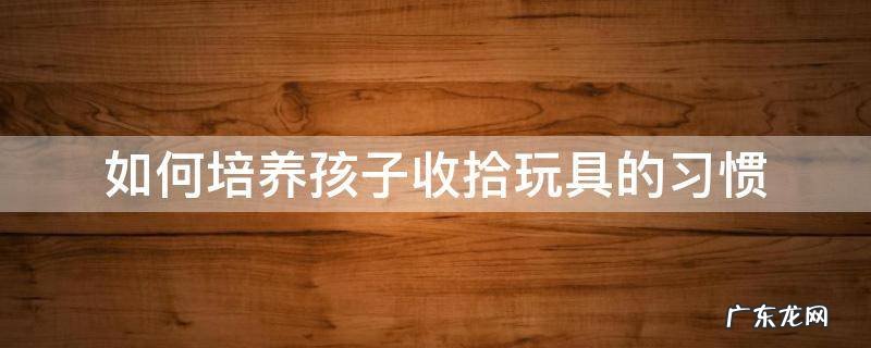 如何培养孩子收拾玩具的习惯 如何让孩子学会整理玩具