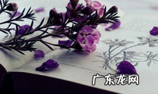 英语好句子摘抄加翻译励志 英语好句子摘抄加翻译