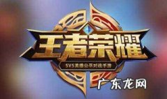 王者荣耀伤害最大的法师是谁 王者荣耀伤害最大的法师