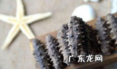 好海参的十个标准 海参怎么辨别真假好坏