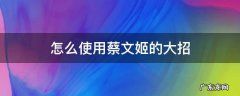 蔡文姬怎么放技能 怎么使用蔡文姬的大招