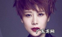 海清个人资料 海清个人资料简介及家世
