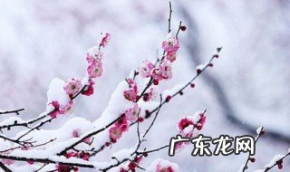 关于雪的优美诗句现代诗 关于雪的优美诗句