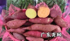 红薯吃的是根还是茎 红薯吃的是根还是茎还是叶