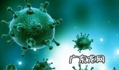 关于新型冠状病毒的心得体会300字 关于新型冠状病毒的心得体会