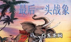 最后一头战象读后感 最后一头战象读后感400字