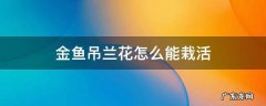 金鱼吊兰花怎么能栽活 金鱼吊兰怎么栽种