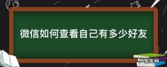 如何看自己的微信有多少好友 微信如何查看自己有多少好友