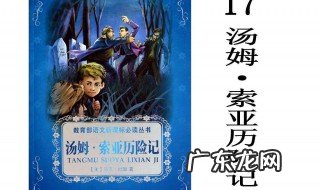 汤姆索亚历险记梗概500字 汤姆索亚历险记梗概500字左右