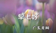 早晨问候语简短最美的句子 早晨问候语