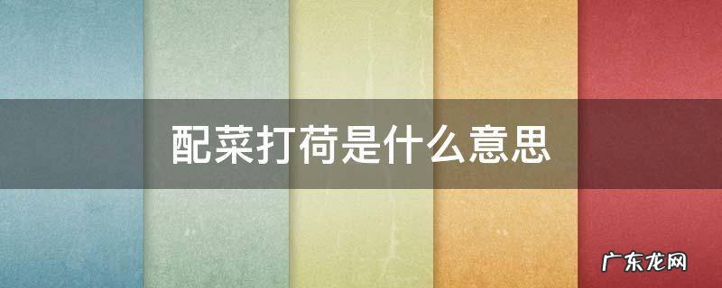配菜打荷是什么意思 配菜打荷是什么意思啊