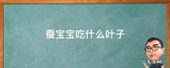 蚕宝宝吃什么叶子长得快 蚕宝宝吃什么叶子