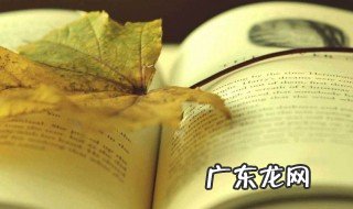 小楼昨夜又东风下一句 小楼昨夜又东风下一句是迷你世界的