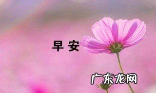 高情商早上发朋友圈的句子 早上发朋友圈的句子