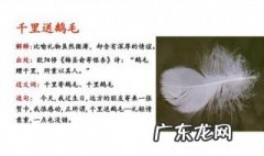 千里送鹅毛一一歇后语 千里送鹅毛的下一句