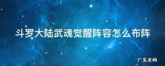 斗罗大陆武魂觉醒阵容怎么布阵 斗罗大陆武魂觉醒阵容怎么布阵的