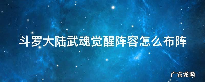 斗罗大陆武魂觉醒阵容怎么布阵 斗罗大陆武魂觉醒阵容怎么布阵的