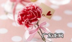 母爱的美句简短10字 母爱的美句简短