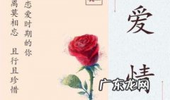 关于爱情的诗句古诗 关于爱情的诗