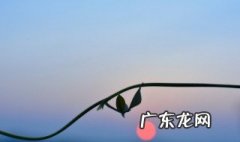 关于庐山的诗句古诗大全 关于庐山的诗句
