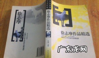 徐志摩代表作 徐志摩代表作品