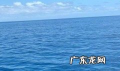 关于海的诗有哪些? 关于海的诗